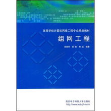 組網工程 計算機系統集成的理論與實踐